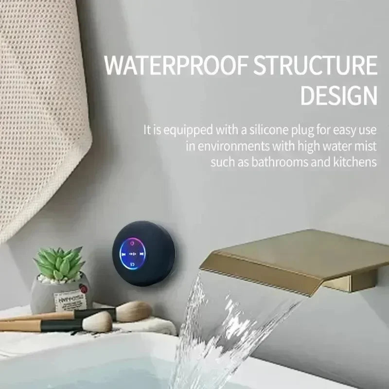 Portable Speaker
