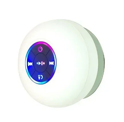 Portable Speaker