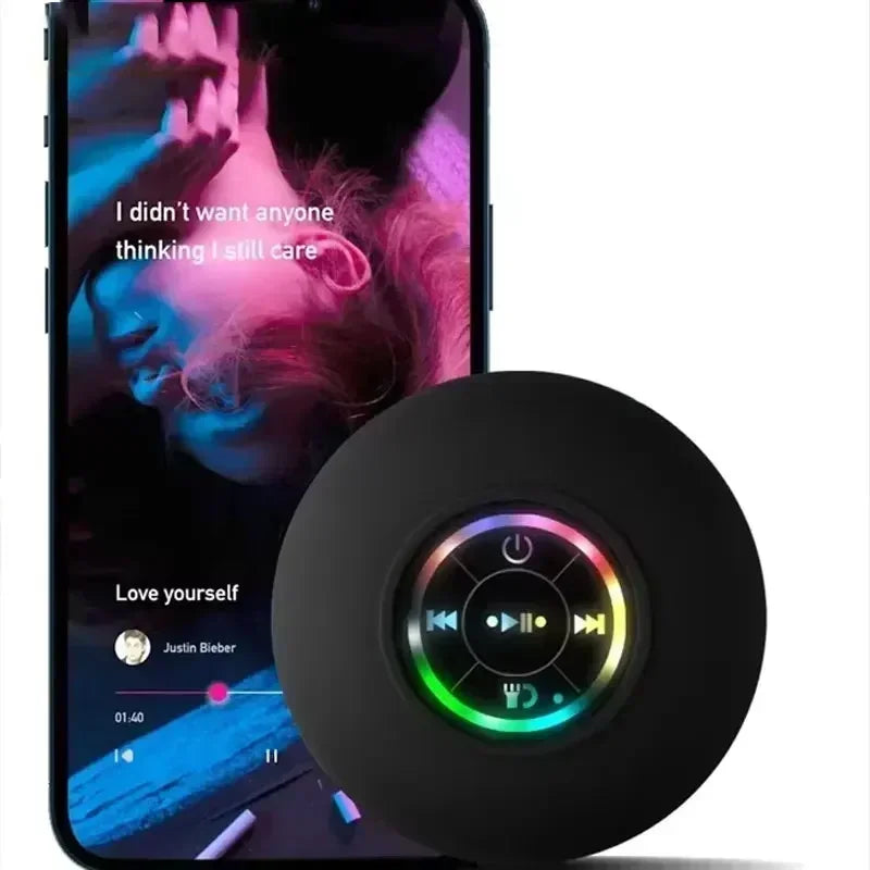 Portable Speaker