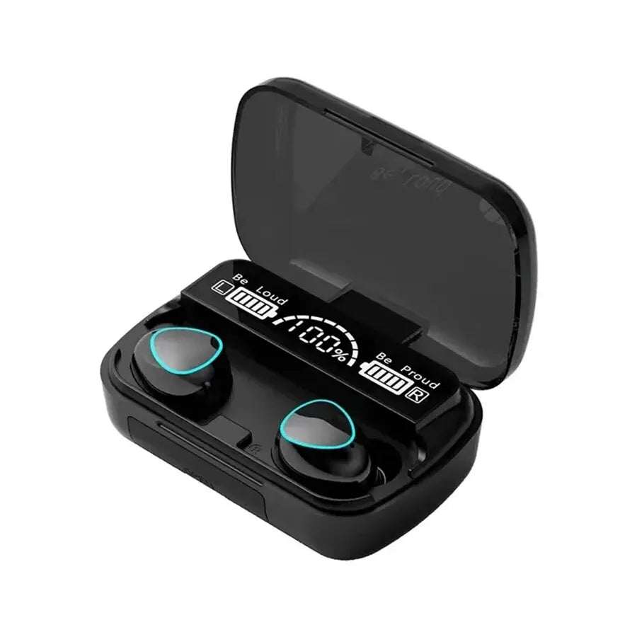 Earphones