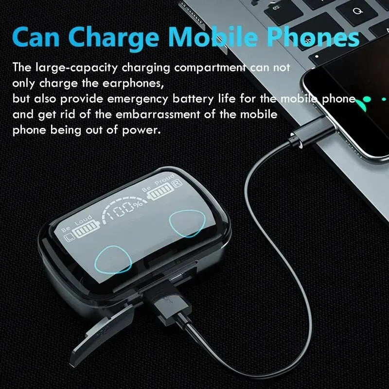 Earphones